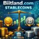 Biitland.com Stablecoins